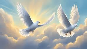 Doves